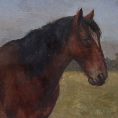 Dipinto di Joseph Dixon Clark,Cavallo inglese da tiro,Joseph Dixon Clark,Joseph Dixon Clark,Joseph Dixon Clark