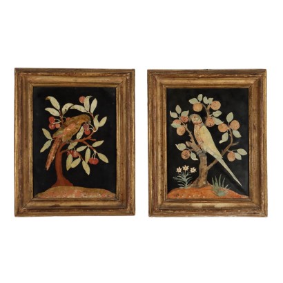 Pair of Antique Plaques Scagliola Parrots Florence XVII Century