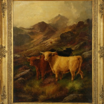 Vacas en pastoreo