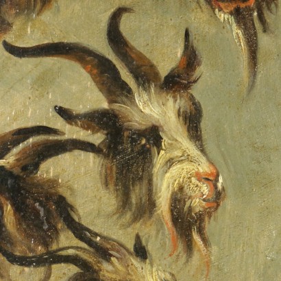 Studies of heads of goats