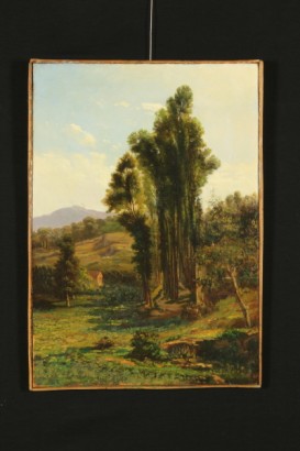 arte del siglo XIX, pinturas de arte 800, Carlo Mancini, mancini, óleo sobre lienzo, paisajes del siglo XIX, paisajes, pinturas, fino acabado 800 800