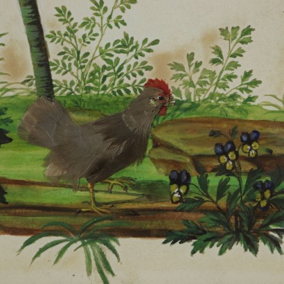 Paire de Compositions Naturalistes Technique Mixte sur Papier 1841