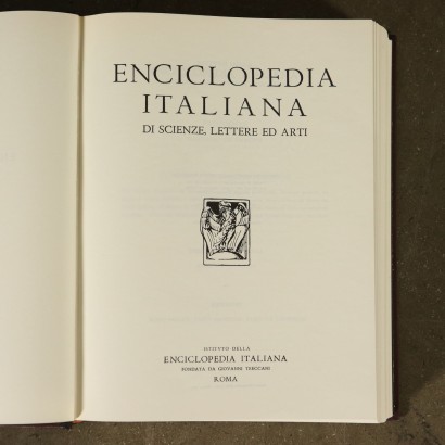 Enciclopedia Treccani con libreria-particolare