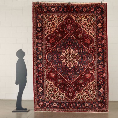 Baktiari Carpet Cotton and Wool Iran 1960s-1970s