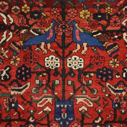 Bakhtiar Carpet Cotton Wool Iran 1930s-1940s