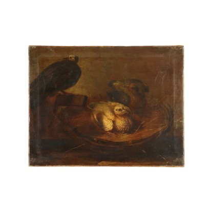 Live Nature With Birds in a Nest Oil On Canvas 18th Century