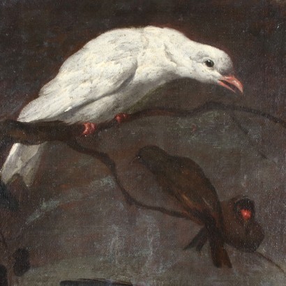 Nature Vivante avec des Oiseaux Huile sur Toile Italie XVII Siècle