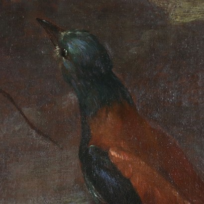 Nature Vivante avec des Oiseaux Huile sur Toile Italie XVII Siècle