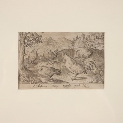 Grabado de Nicolas De Bruyn 1594, Tres gallinas y dos gallos, Grabado de Nicolas De Bruyn 1594, Nicolaes De Bruyn, Grabado de Nicolas De Bruyn 1594, Nicolaes De Bruyn, Nicolaes De Bruyn